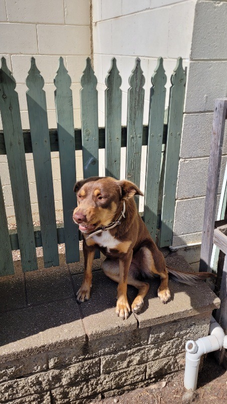 Arya photo 2
